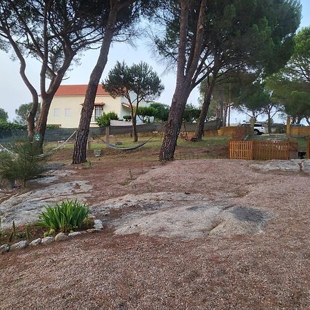 Casas De Campo Villa D'Almeida Travancinha Extérieur photo